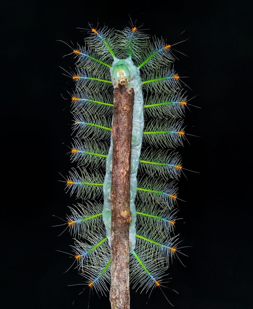 Photograph by Madhan Kumar Balaguru