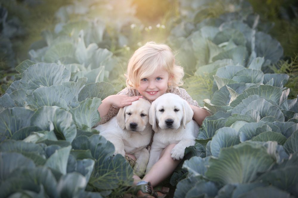 Фотография автора Katerina Mumzhinskaya