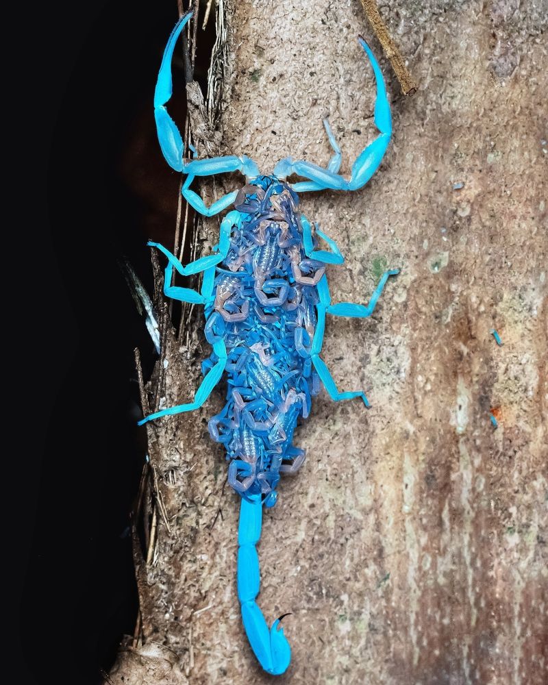 Photograph by Madhan Kumar Balaguru