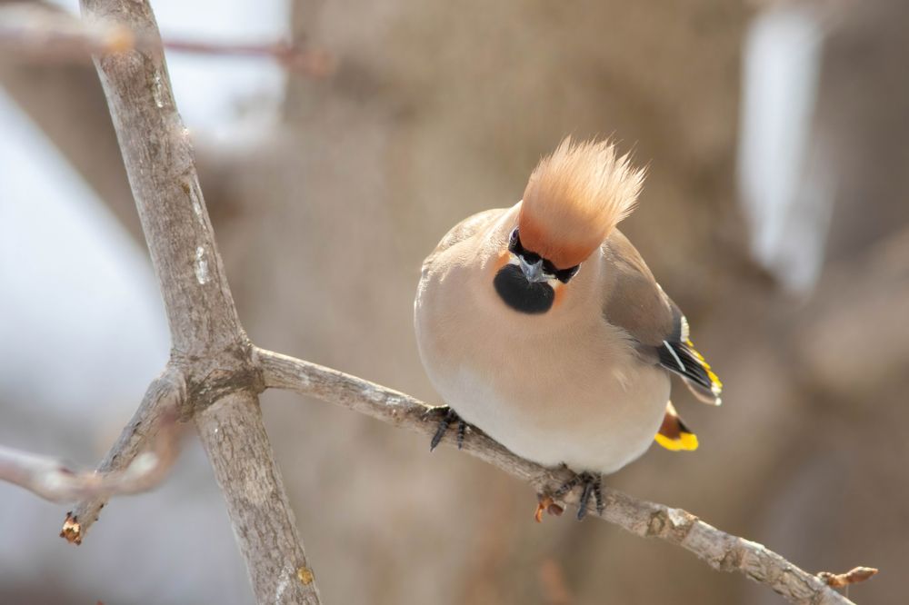 Photograph by Антон Лобачёв