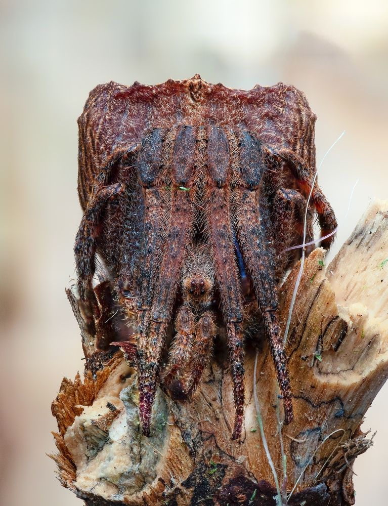 Photograph by Madhan Kumar Balaguru