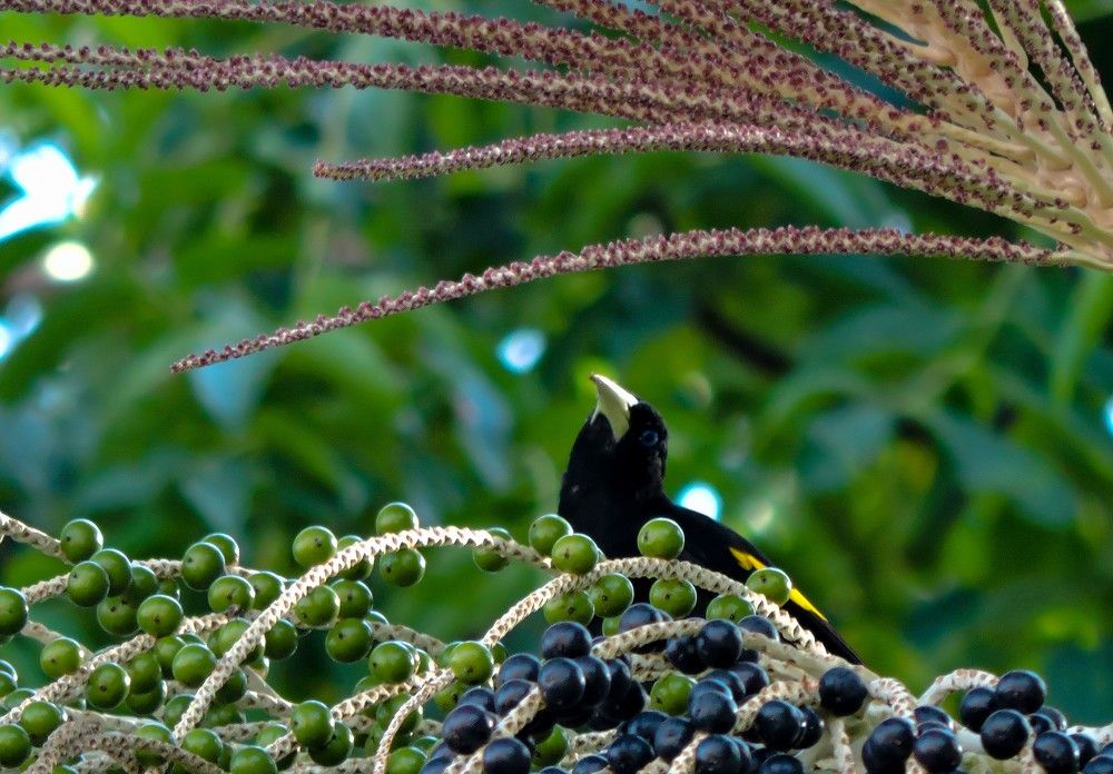 Photograph by Patrícia Helena