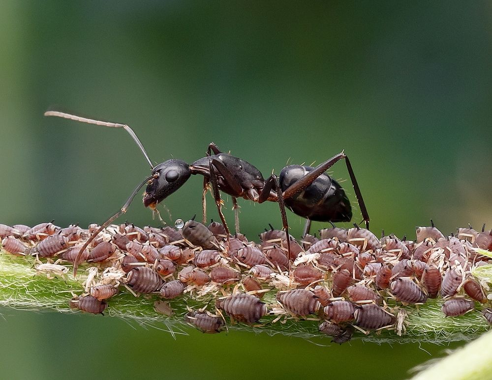 Photograph by Madhan Kumar Balaguru