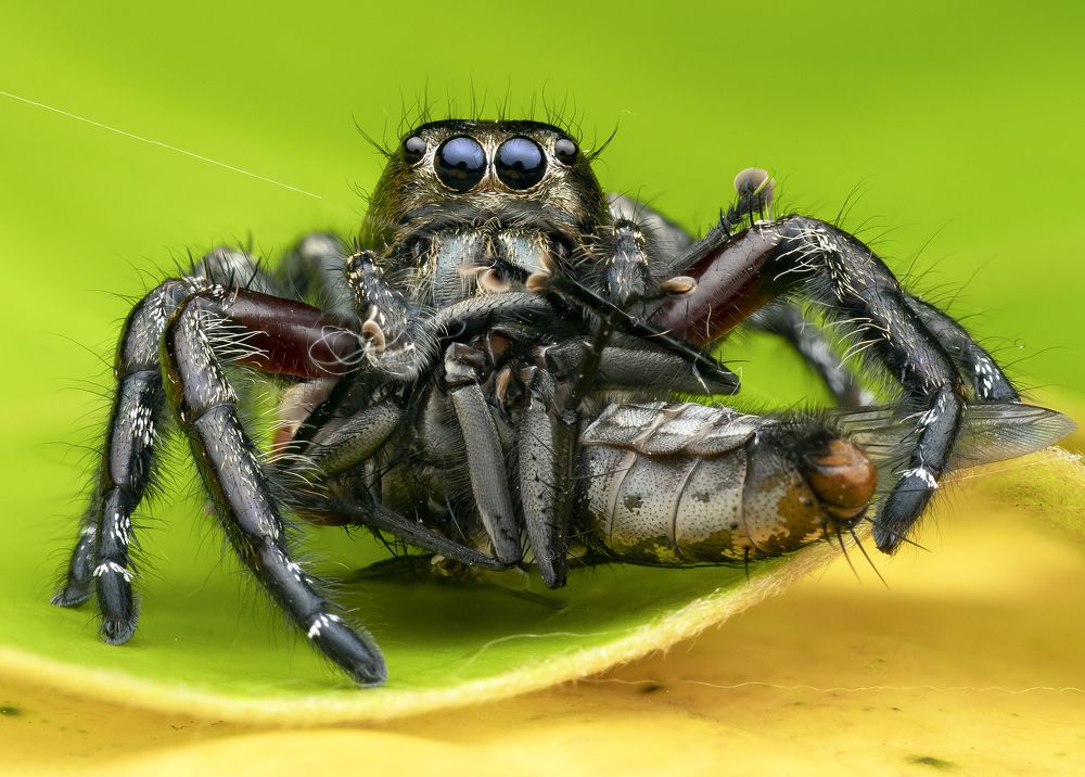 Photograph by Madhan Kumar Balaguru