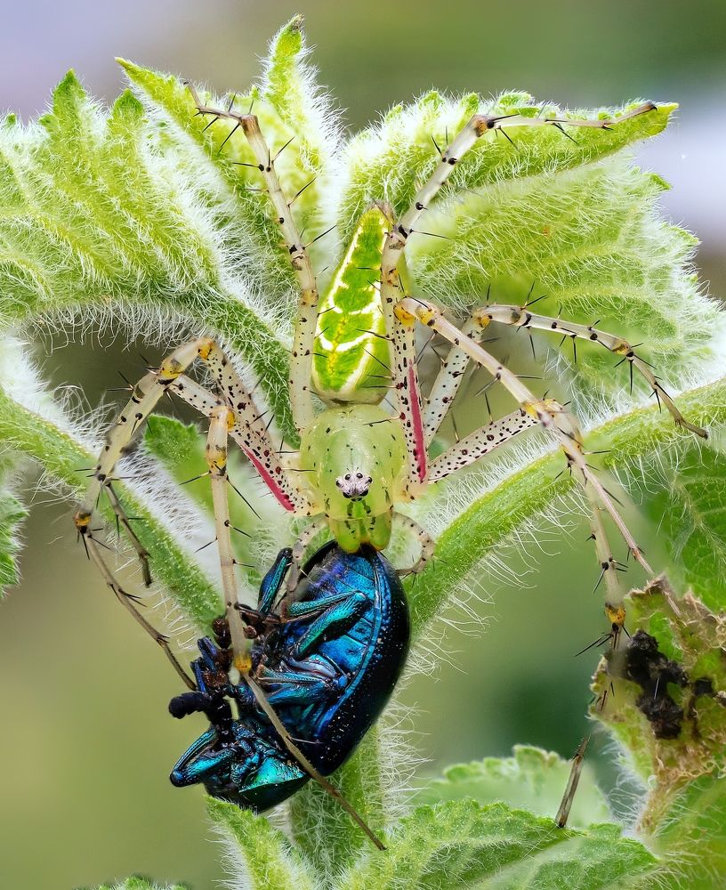 Photograph by Madhan Kumar Balaguru
