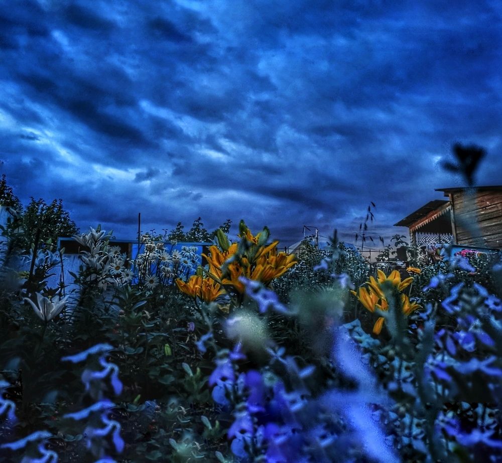 Photograph by Константин Илюшников