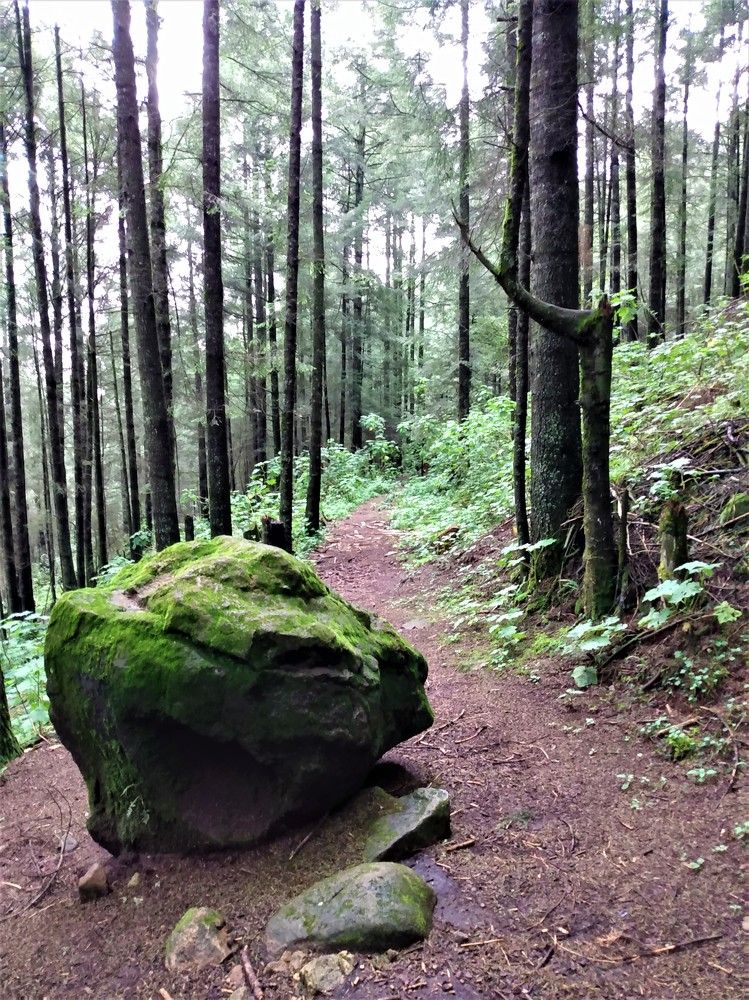 Photograph by José Luis Mendoza Machado