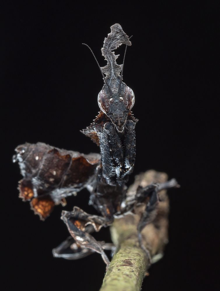 Photograph by Madhan Kumar Balaguru