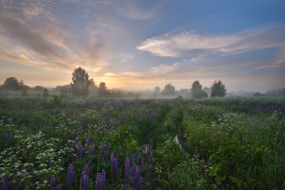 Photograph by Виталий Полуэктов