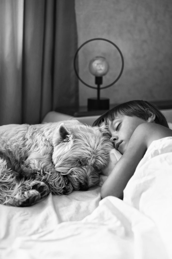 Photograph by Анастасия Ярмак