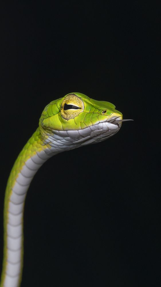 Photograph by Madhan Kumar Balaguru