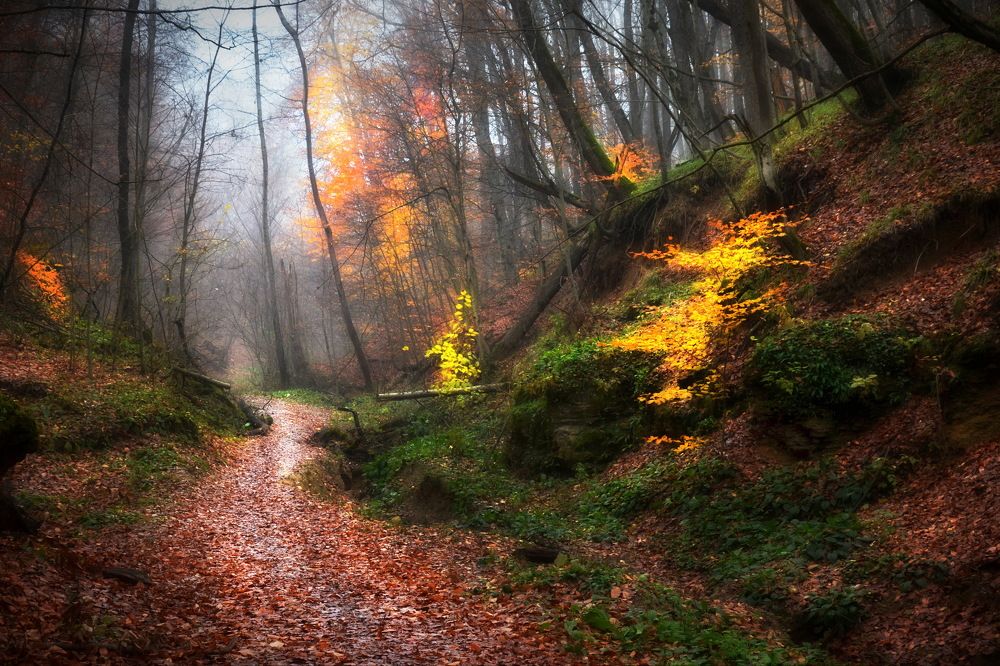 Photograph by  Владимир