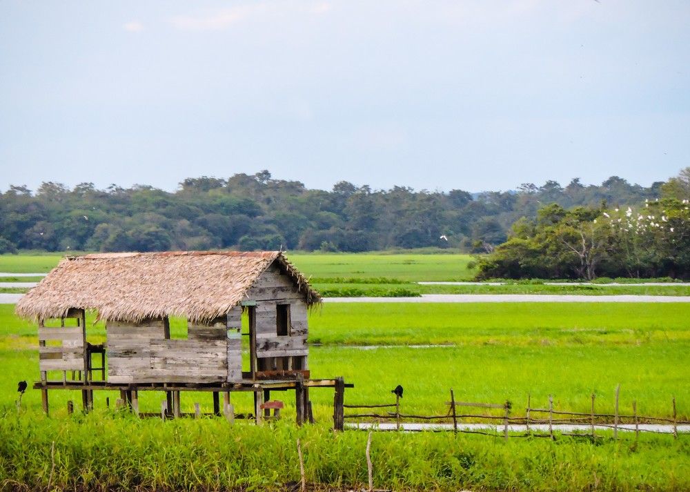 Photograph by Rodrigues Helena