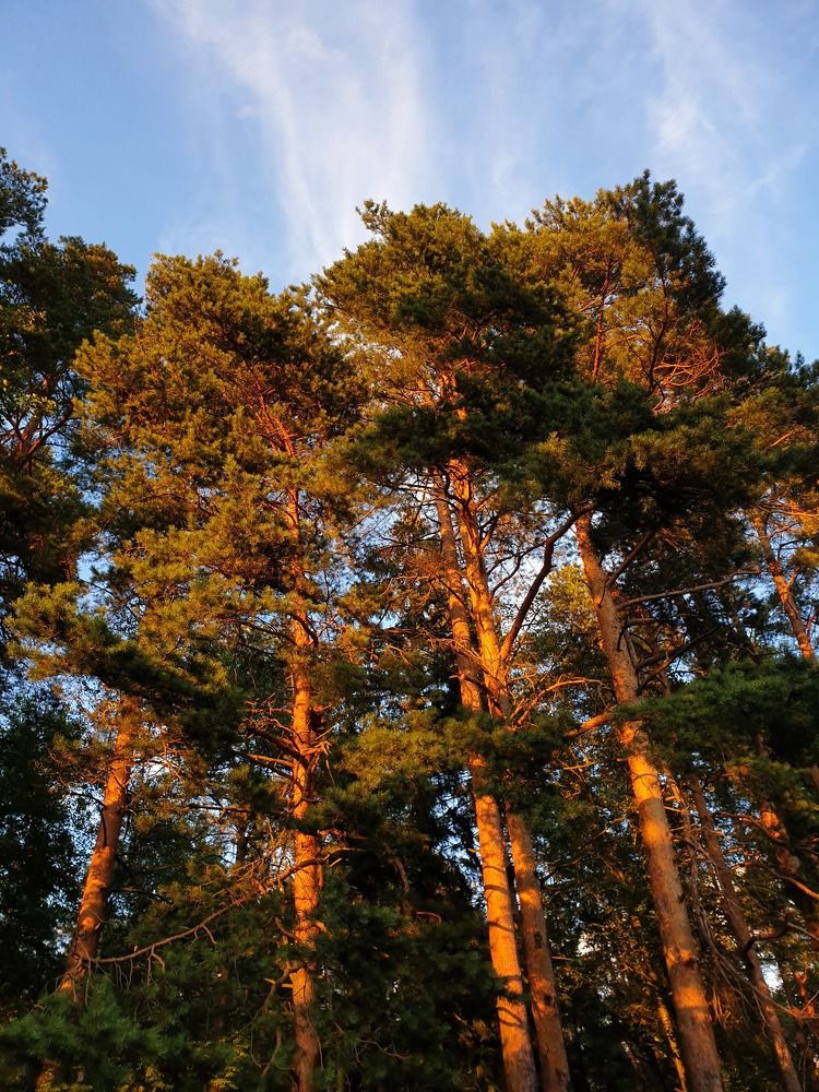 Photograph by Дмитрий Зернов