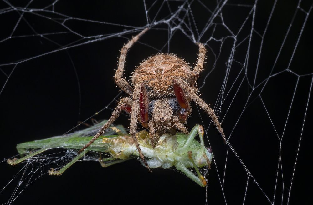 Photograph by Madhan Kumar Balaguru