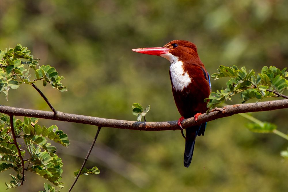 Photograph by Vivek Kuber