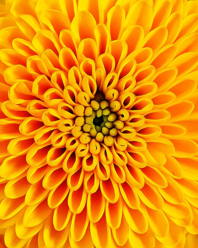 Photograph by Anna Sindikayeva