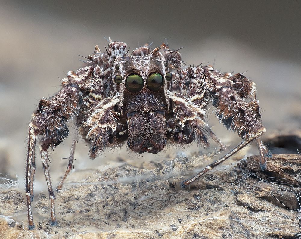 Photograph by Madhan Kumar Balaguru
