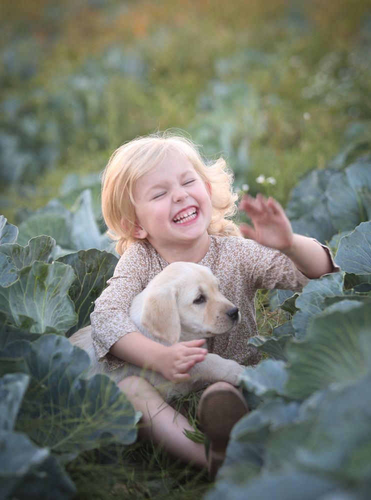 Фотография автора Katerina Mumzhinskaya