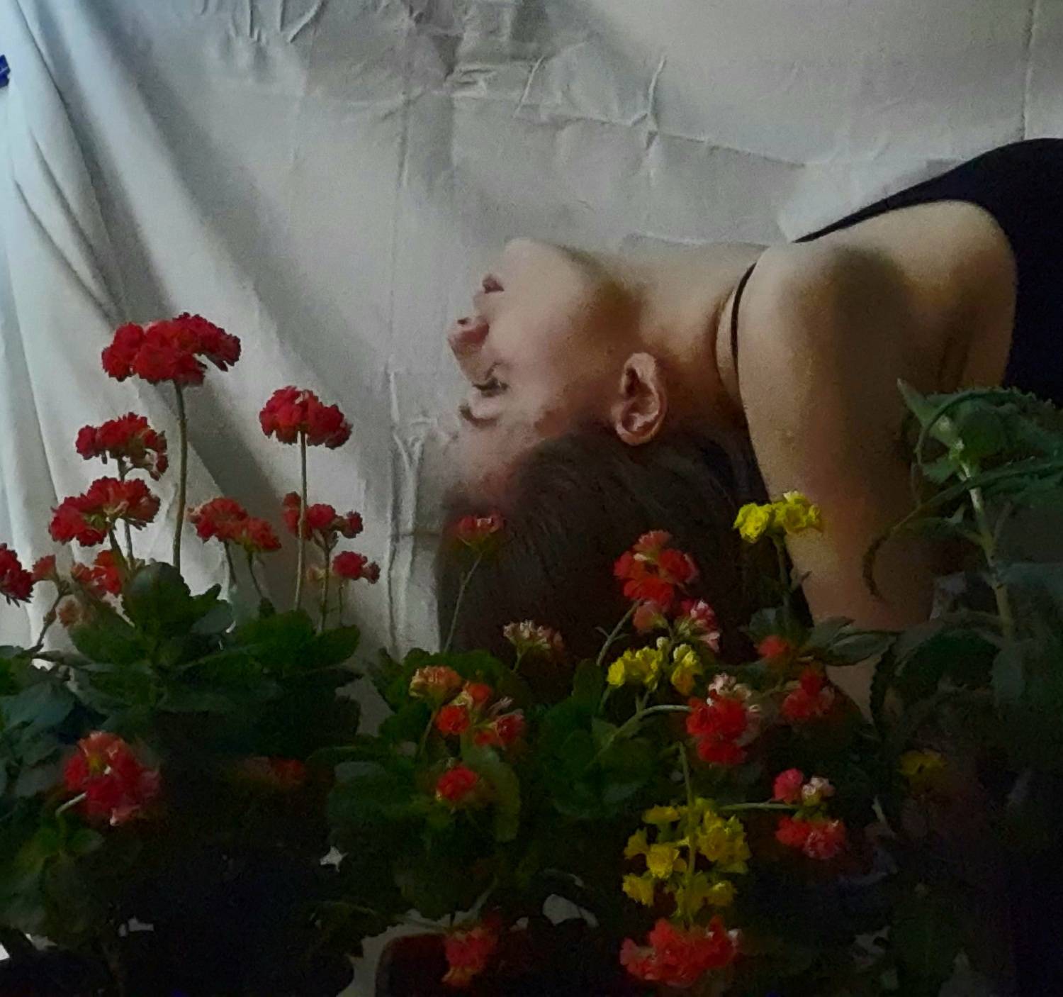 Photo #7406901