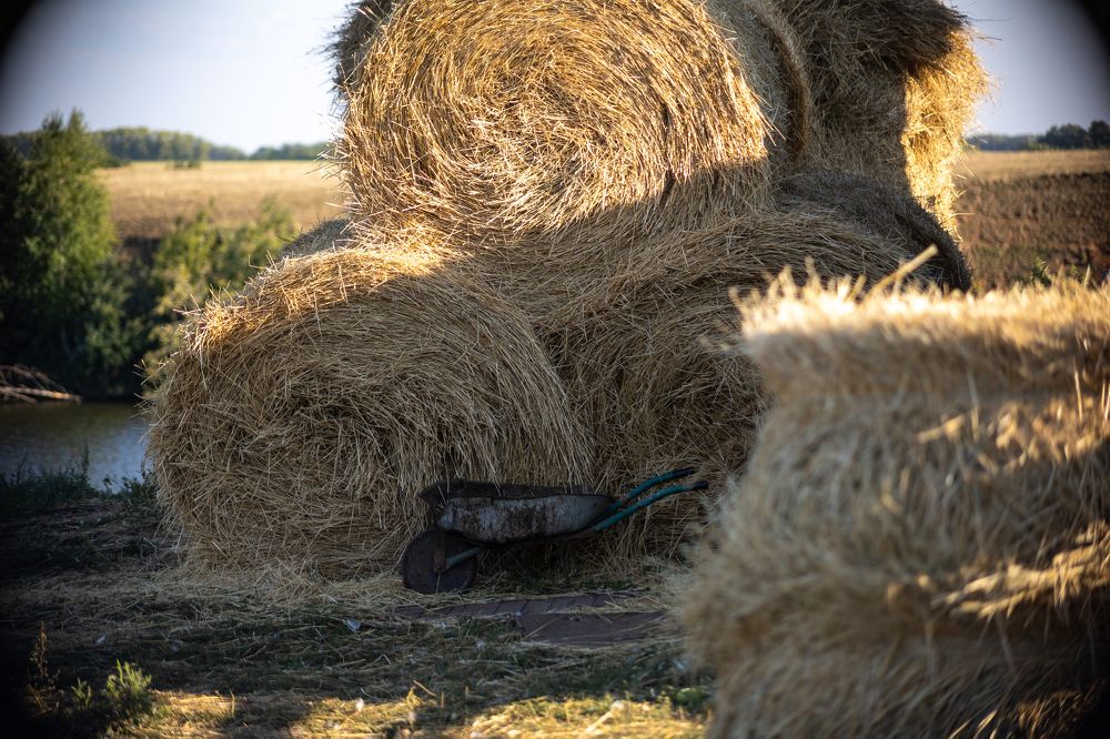 Photograph by Альбина