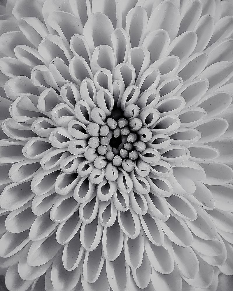 Photograph by Anna Sindikayeva