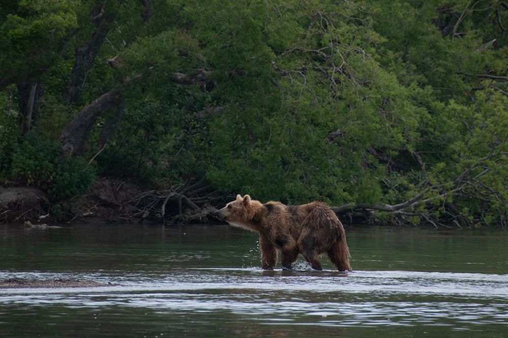 Фотография автора Мария Рохмистрова