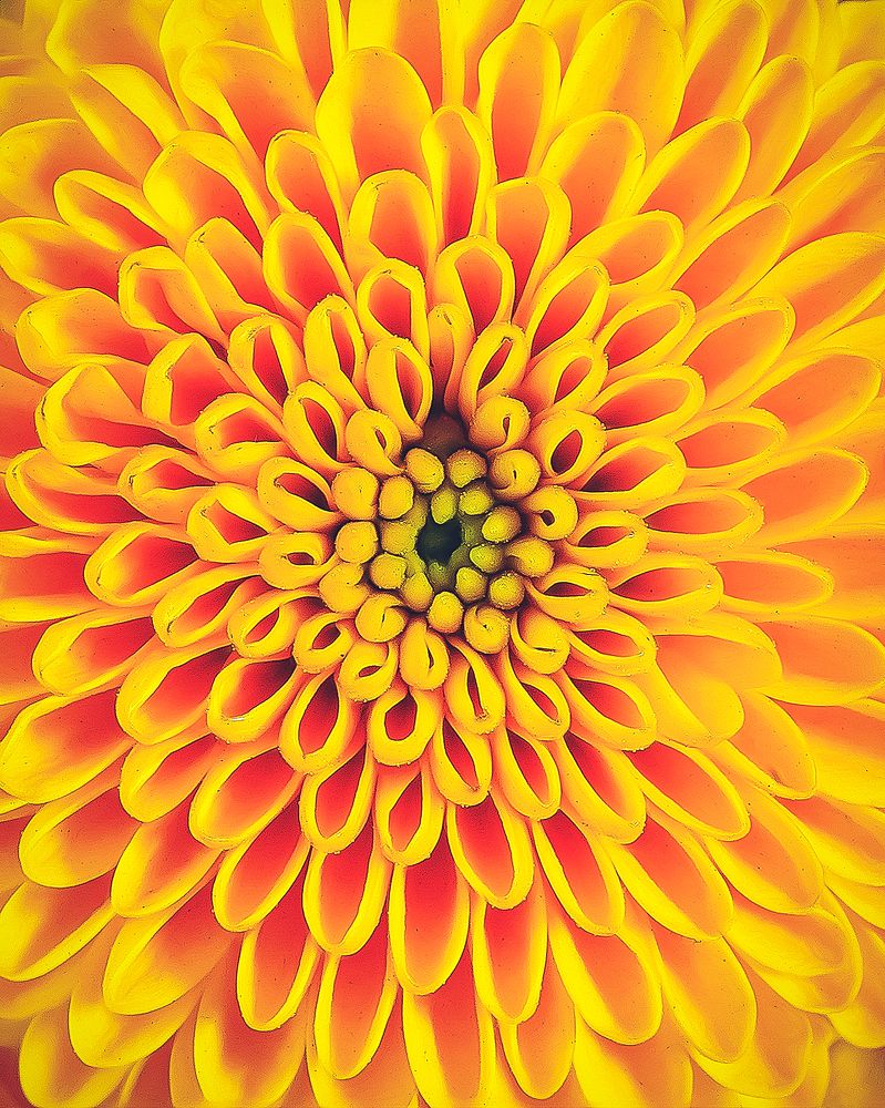 Photograph by Anna Sindikayeva