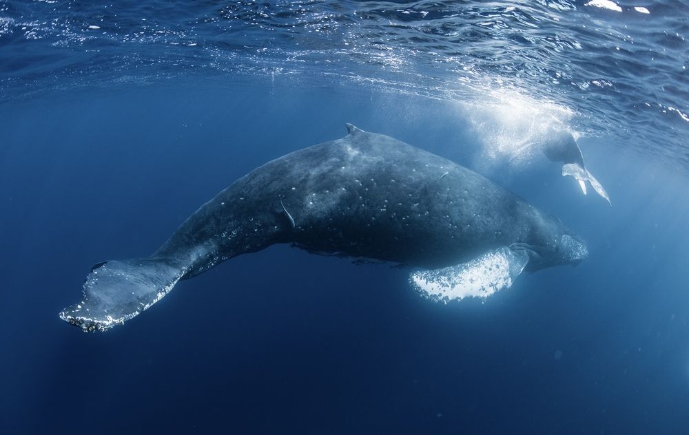 A Child Playing and a Mother Watching