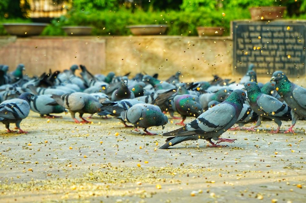 Photograph by TARUN KUMAR