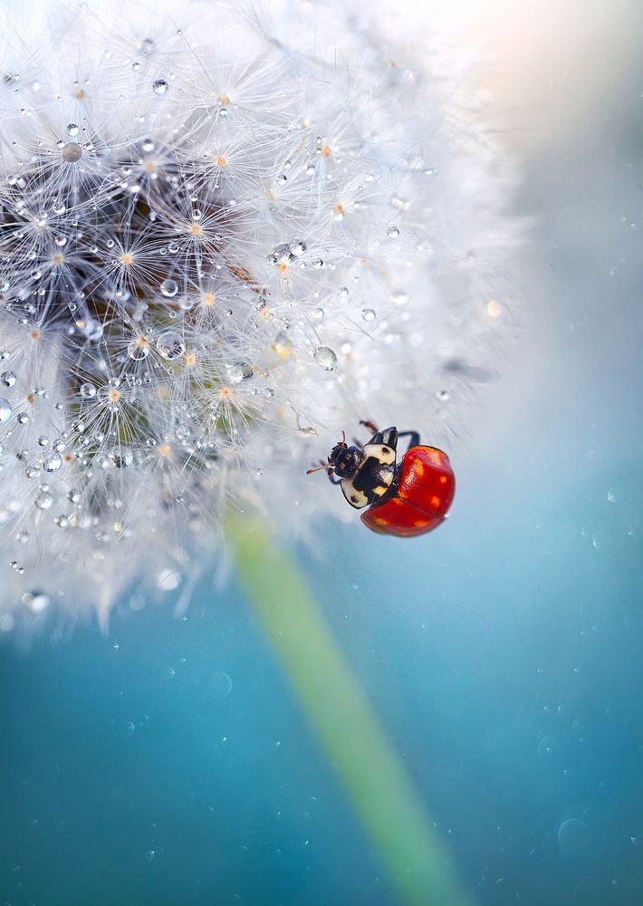 Photograph by Dana S.