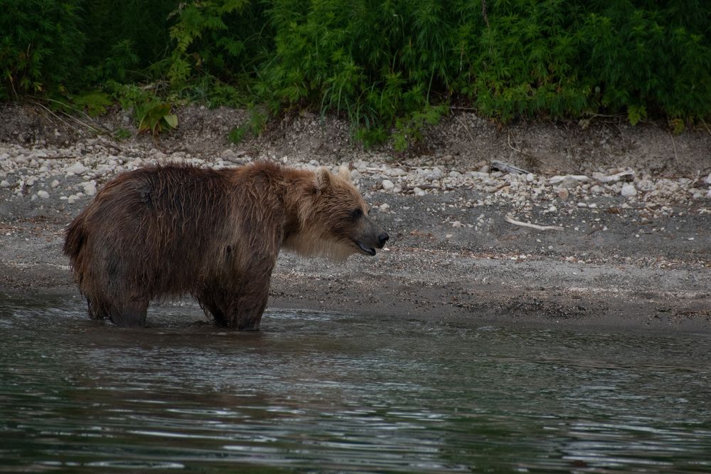 Фотография автора Мария Рохмистрова