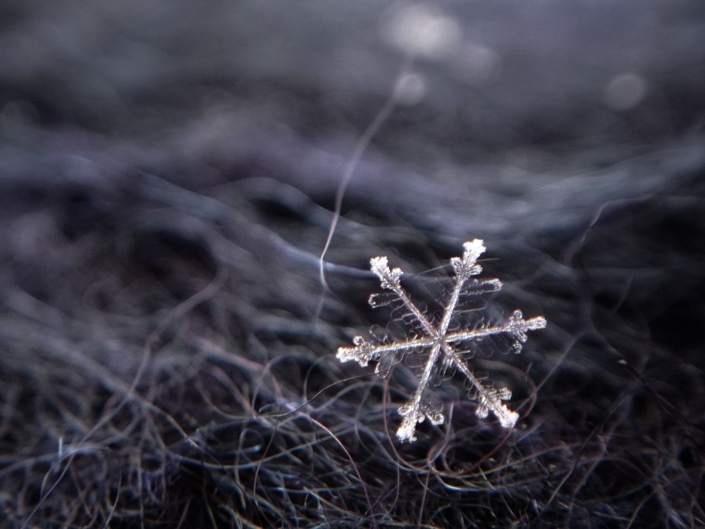 Photograph by Ксения Шпаковская