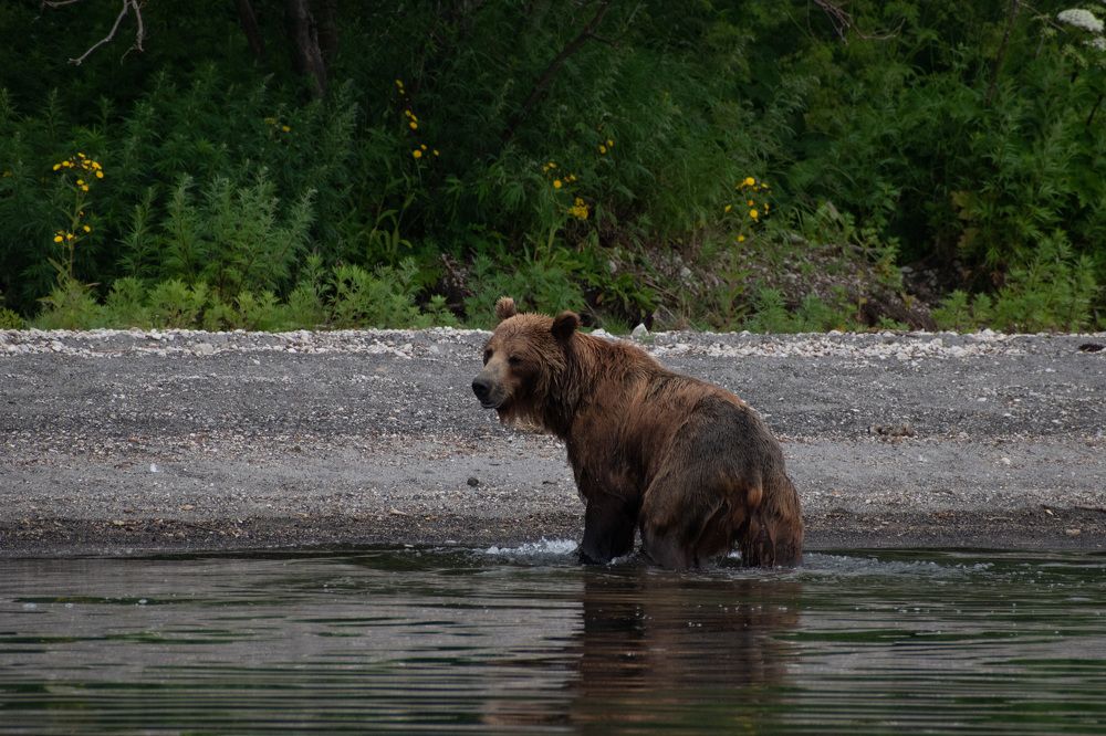 Фотография автора Мария Рохмистрова