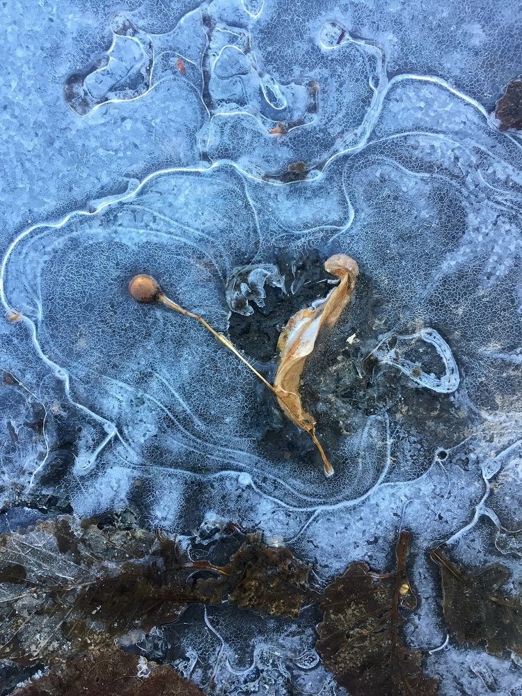 Photograph by Алена Шаргина