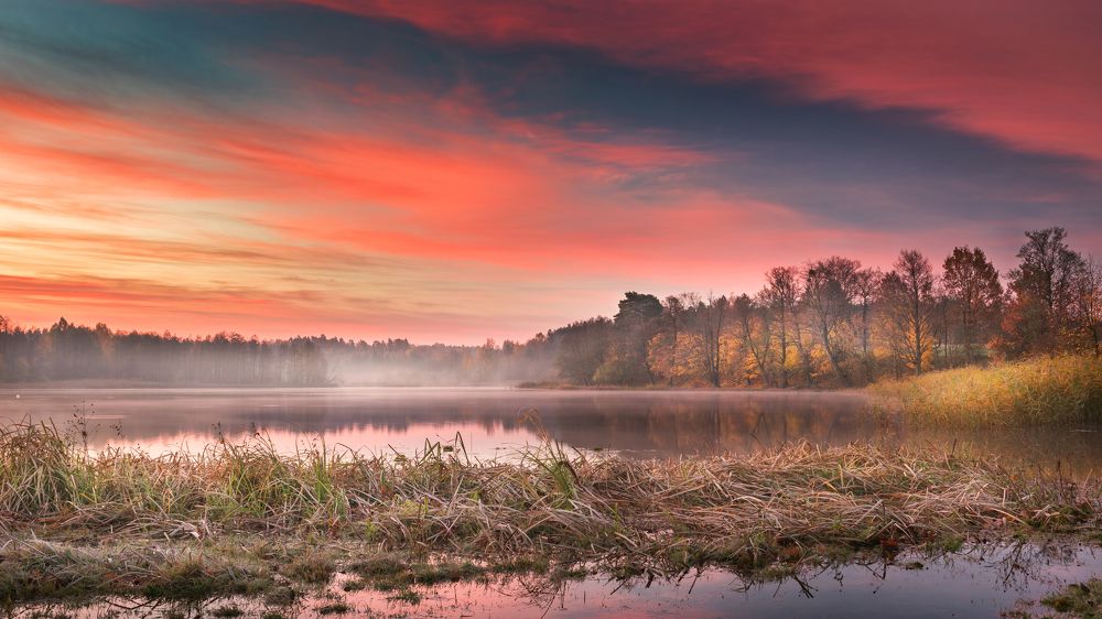 Photograph by Katarzyna Bochniak