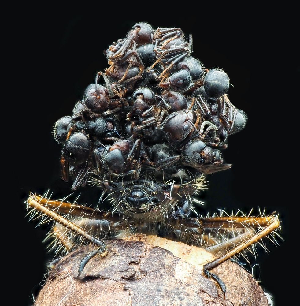 Photograph by Madhan Kumar Balaguru