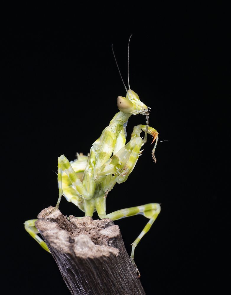 Photograph by Madhan Kumar Balaguru