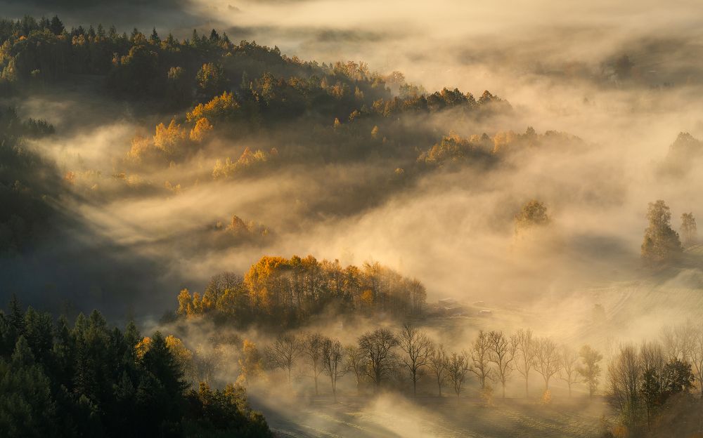 Photograph by Stanisław Baraniecki