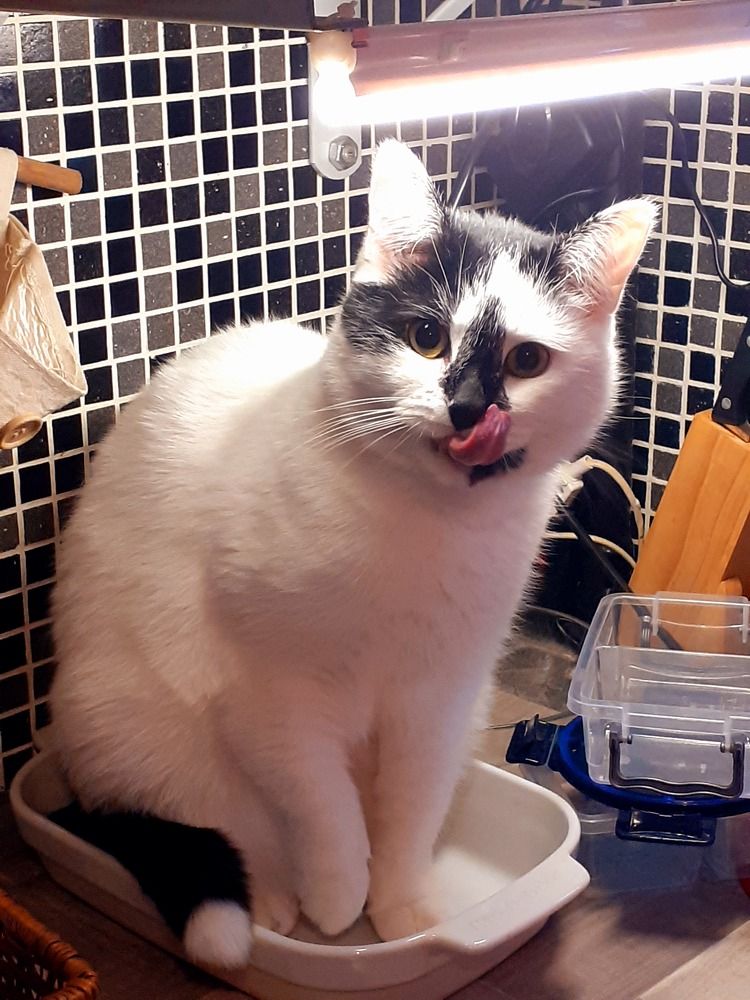 Photograph by Евгения Ульянова