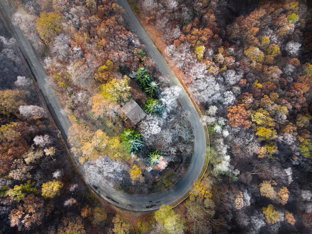 Photograph by Mая Врънгова