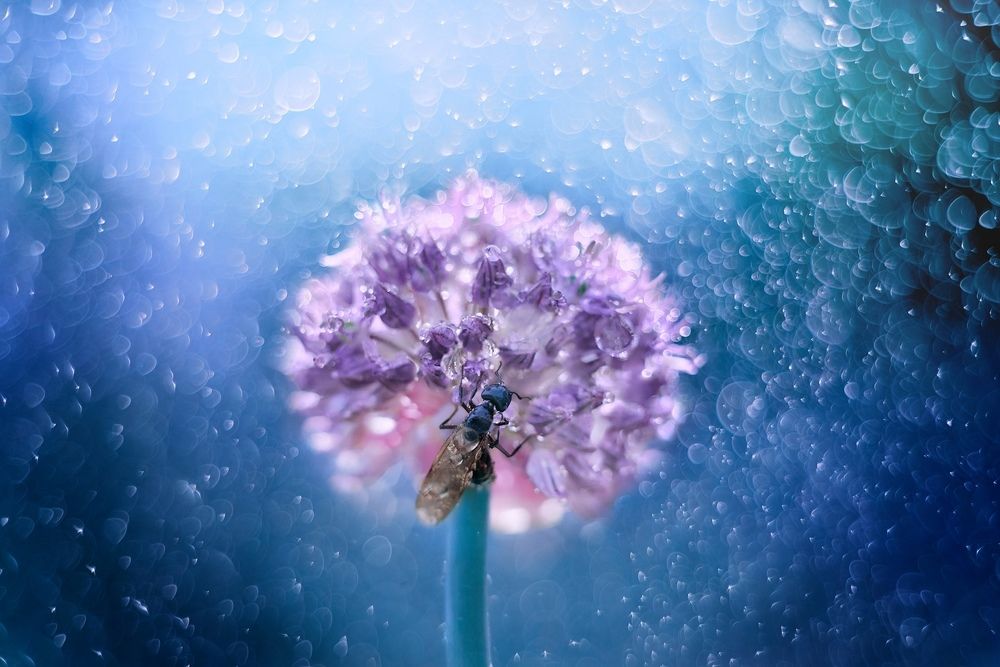 Photograph by Екатерина Глебова