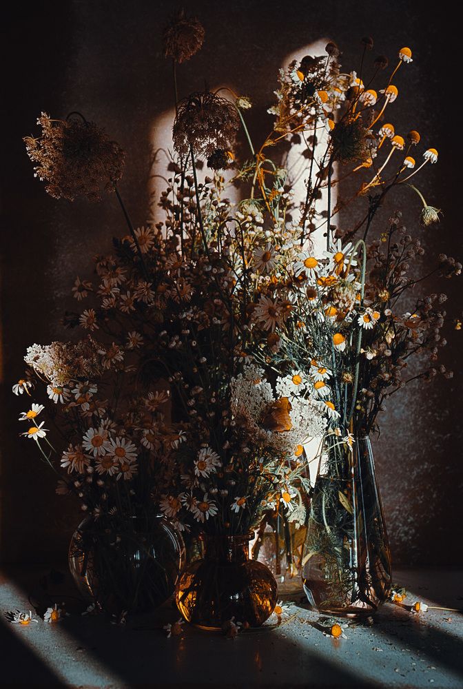 Фотография автора Алиса Чурчудесная