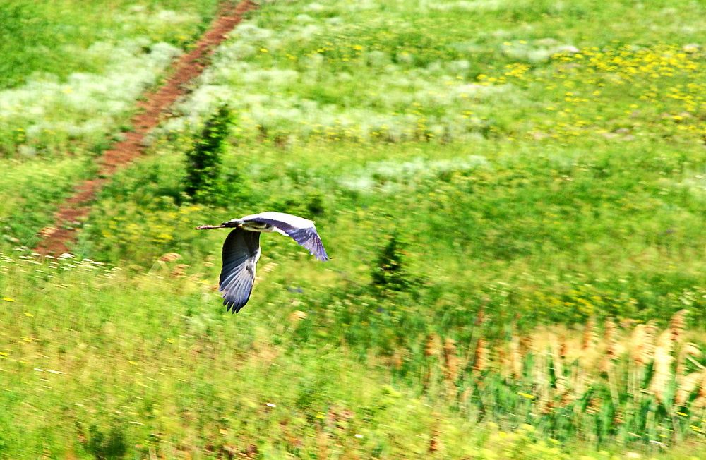 Photograph by Александр