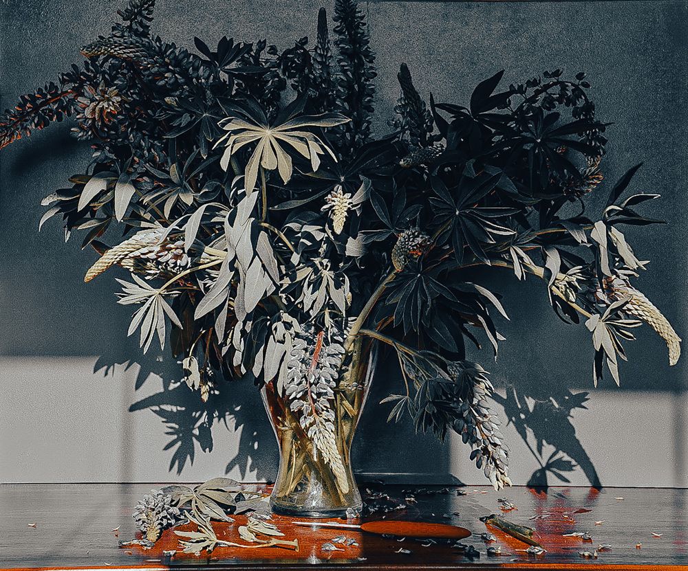 Фотография автора Алиса Чурчудесная