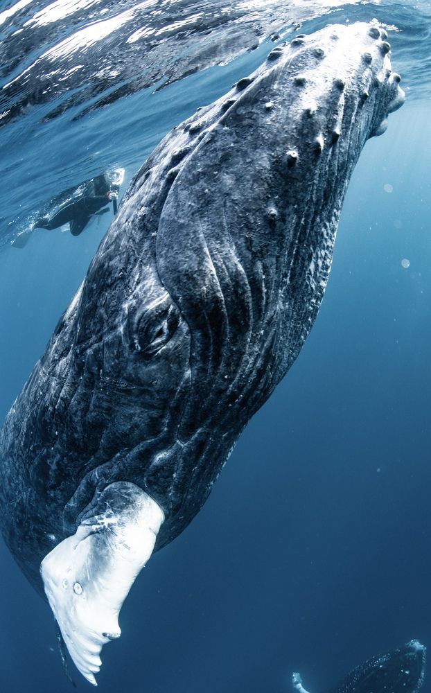 Ultra close approach