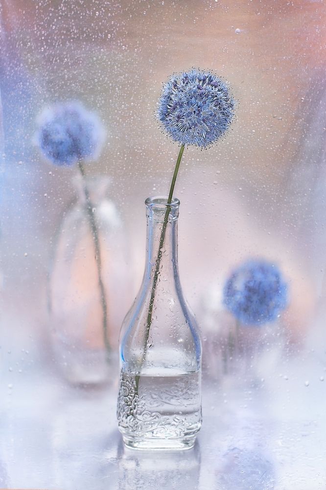 Photograph by Екатерина Глебова