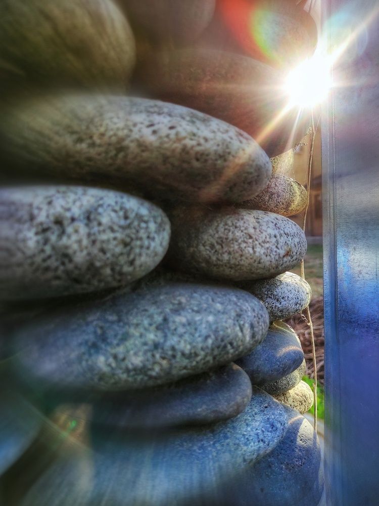 Photograph by Алла Холодова