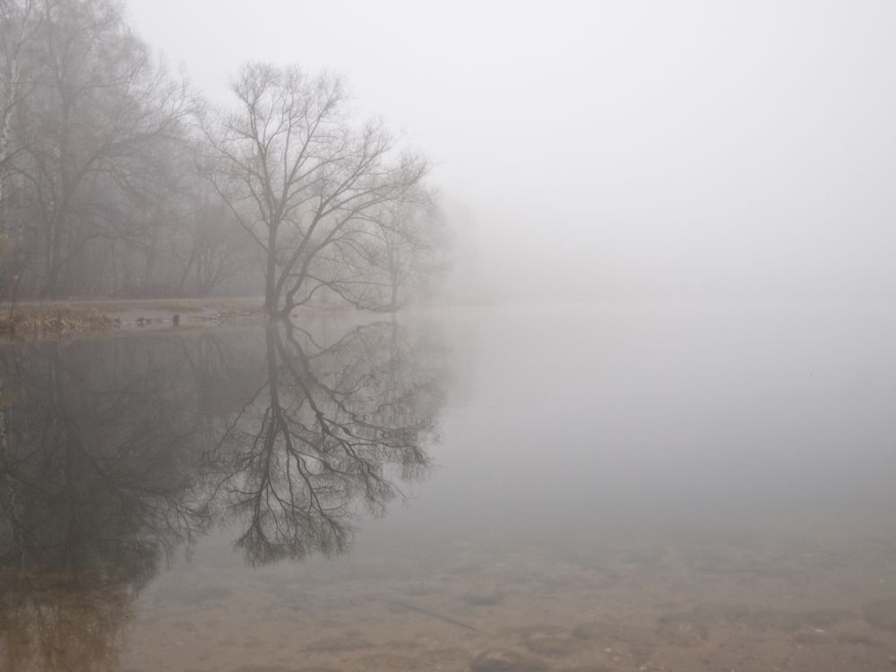 Photograph by Илюшечкина Екатерина