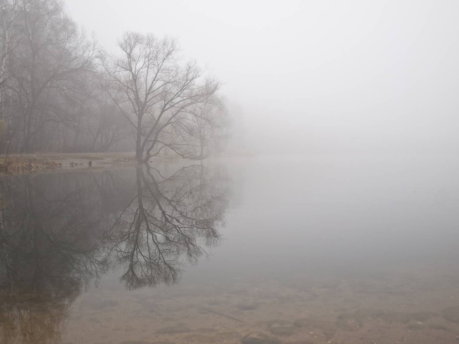 Фотография #7407318